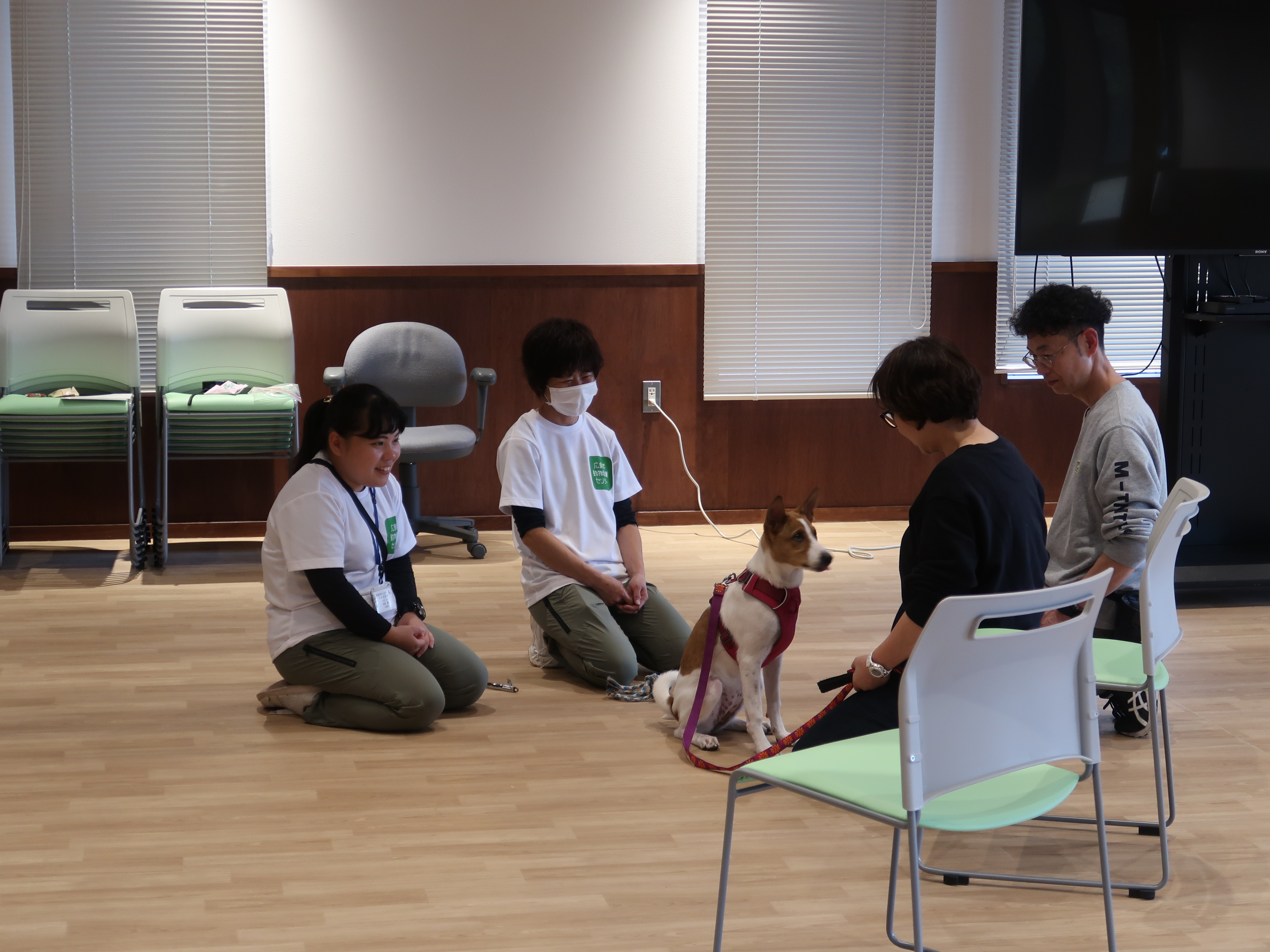 成犬お悩み相談