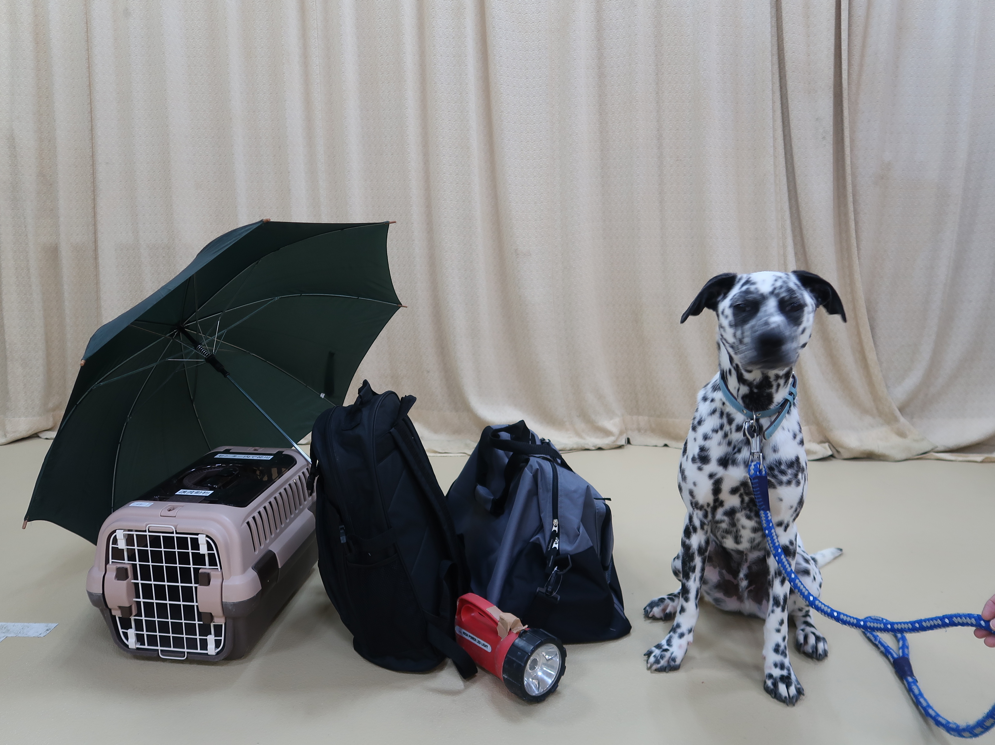 ペット防災セミナー