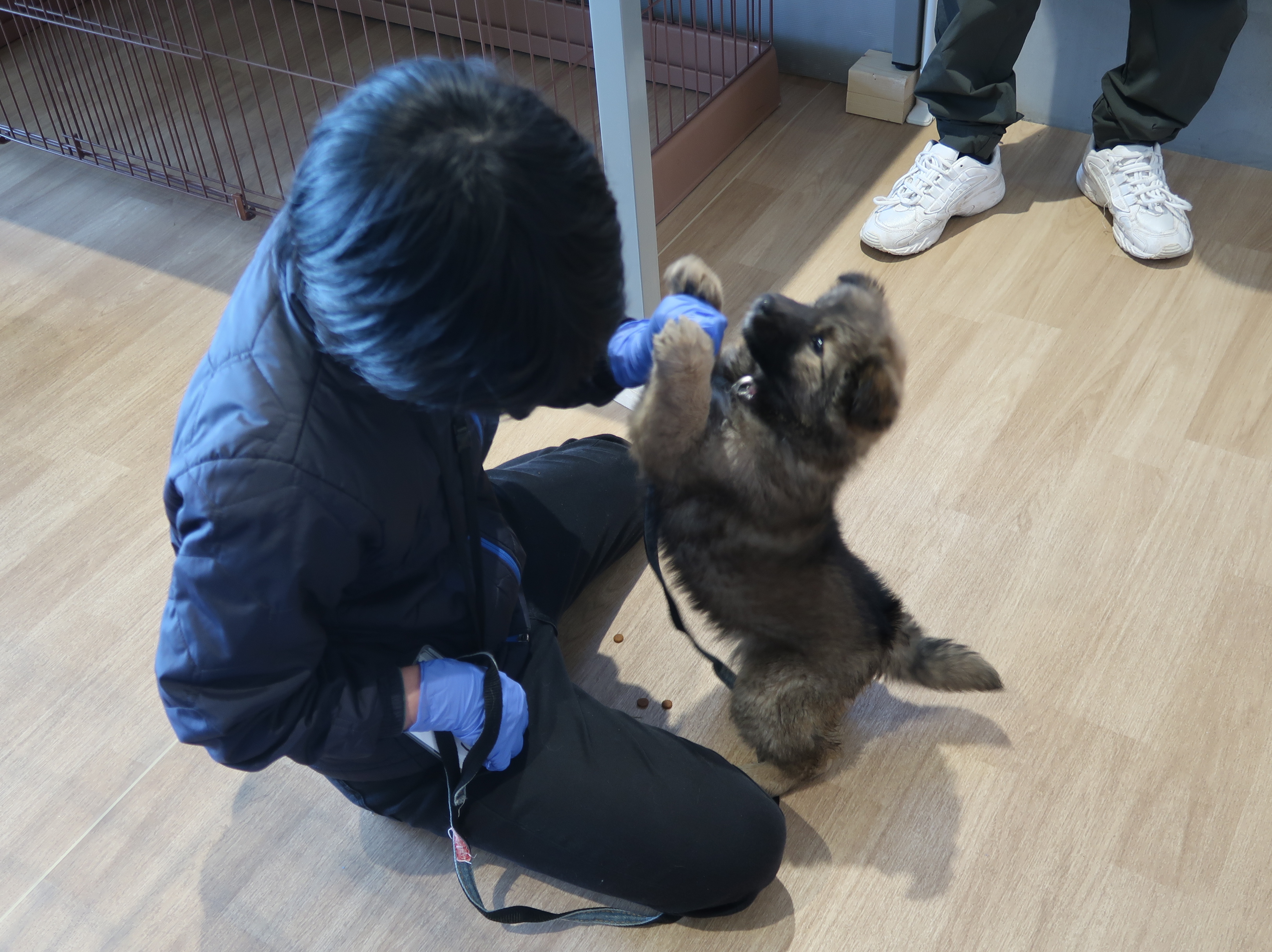 犬を飼う前にセミナー