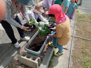 西太田自治センターの苗植え