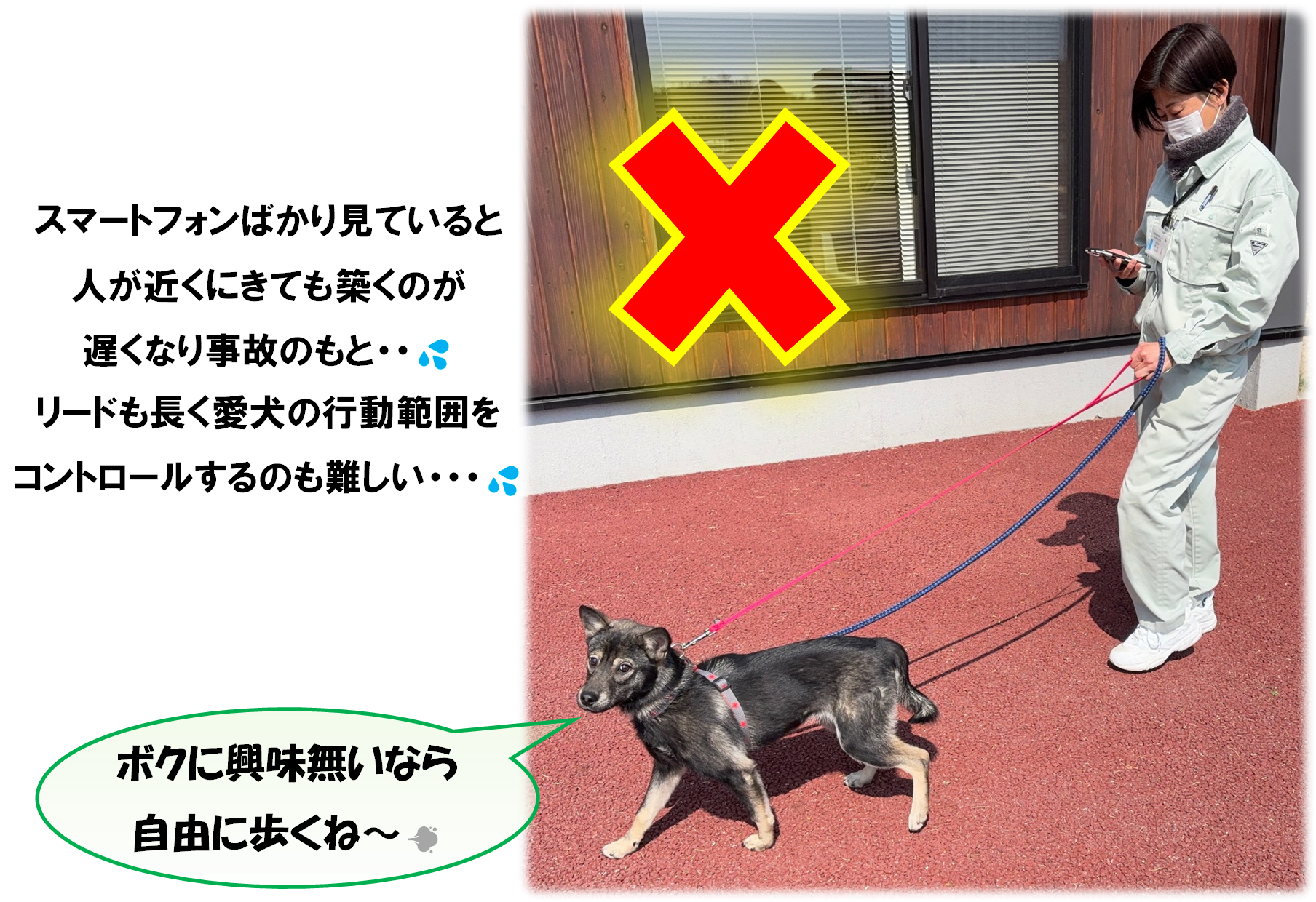 リードのマナー２