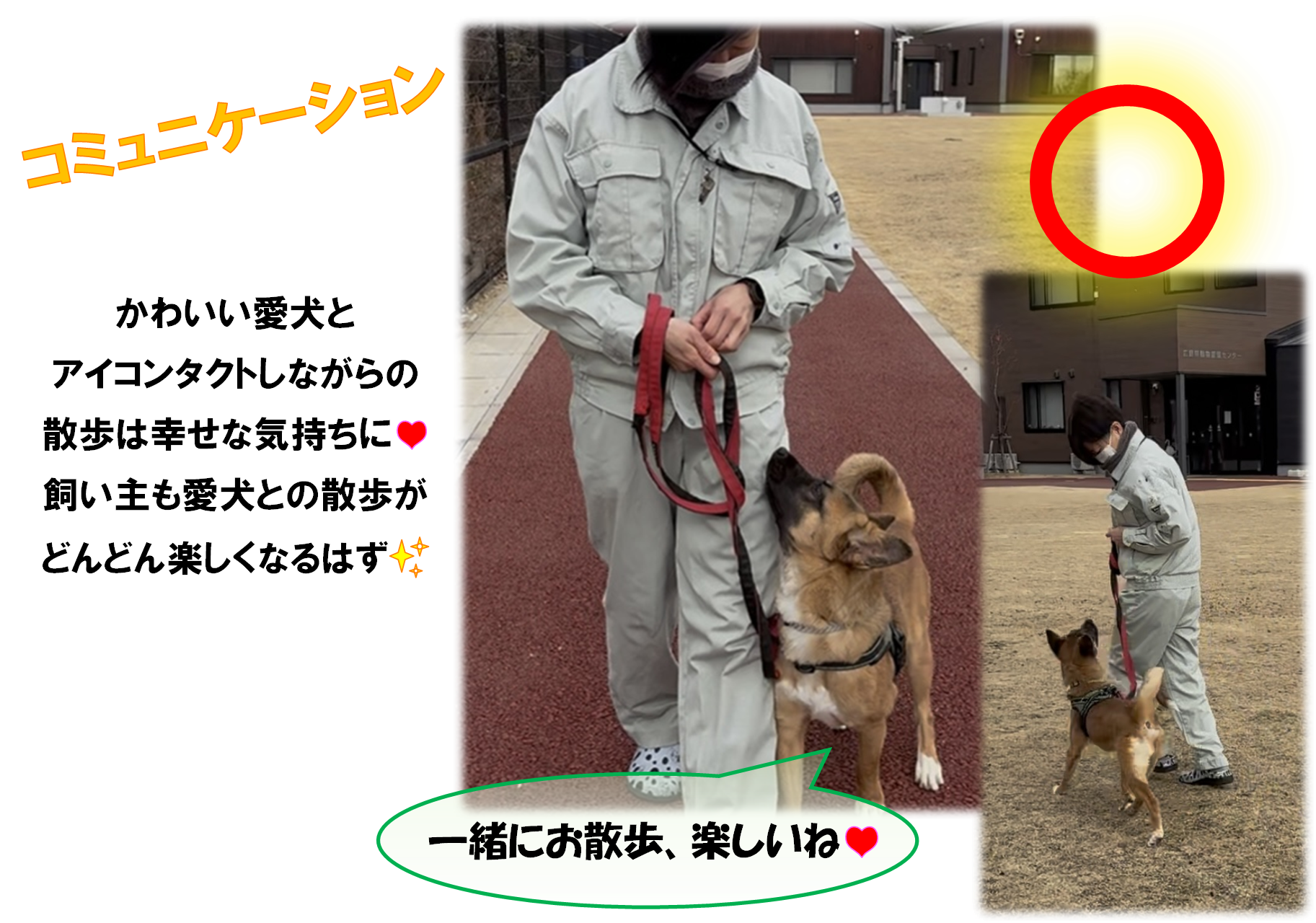 リードのマナー３