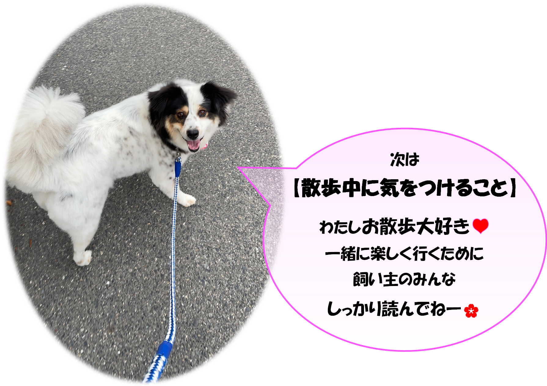 リードマナー２