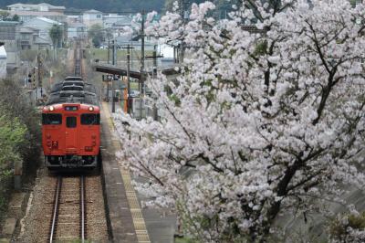 桜と芸備線