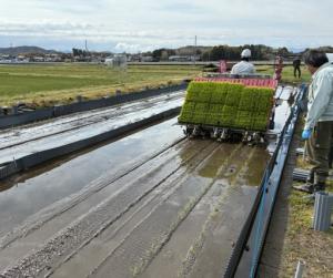 水田に田植え機で稲を植え付ける様子