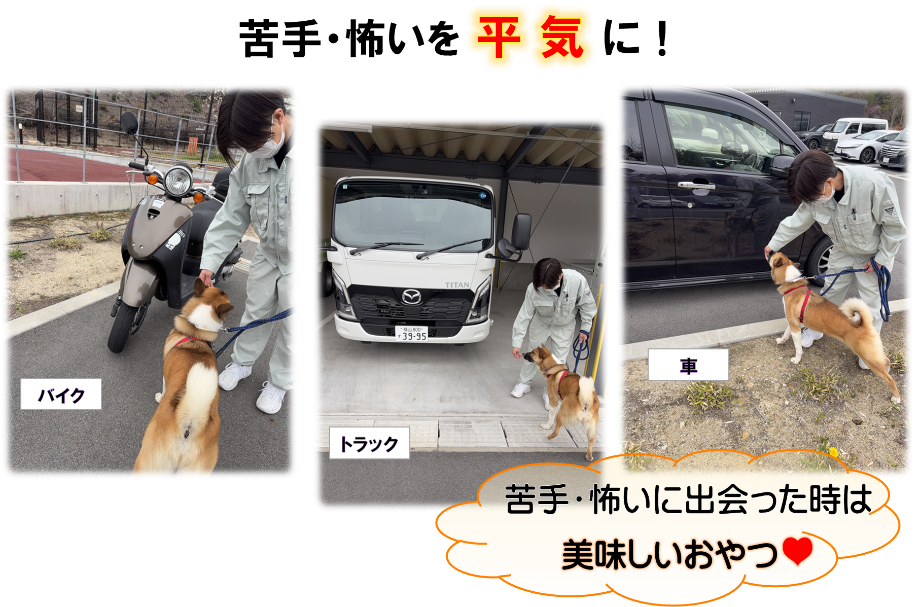 苦手・怖いを平気に