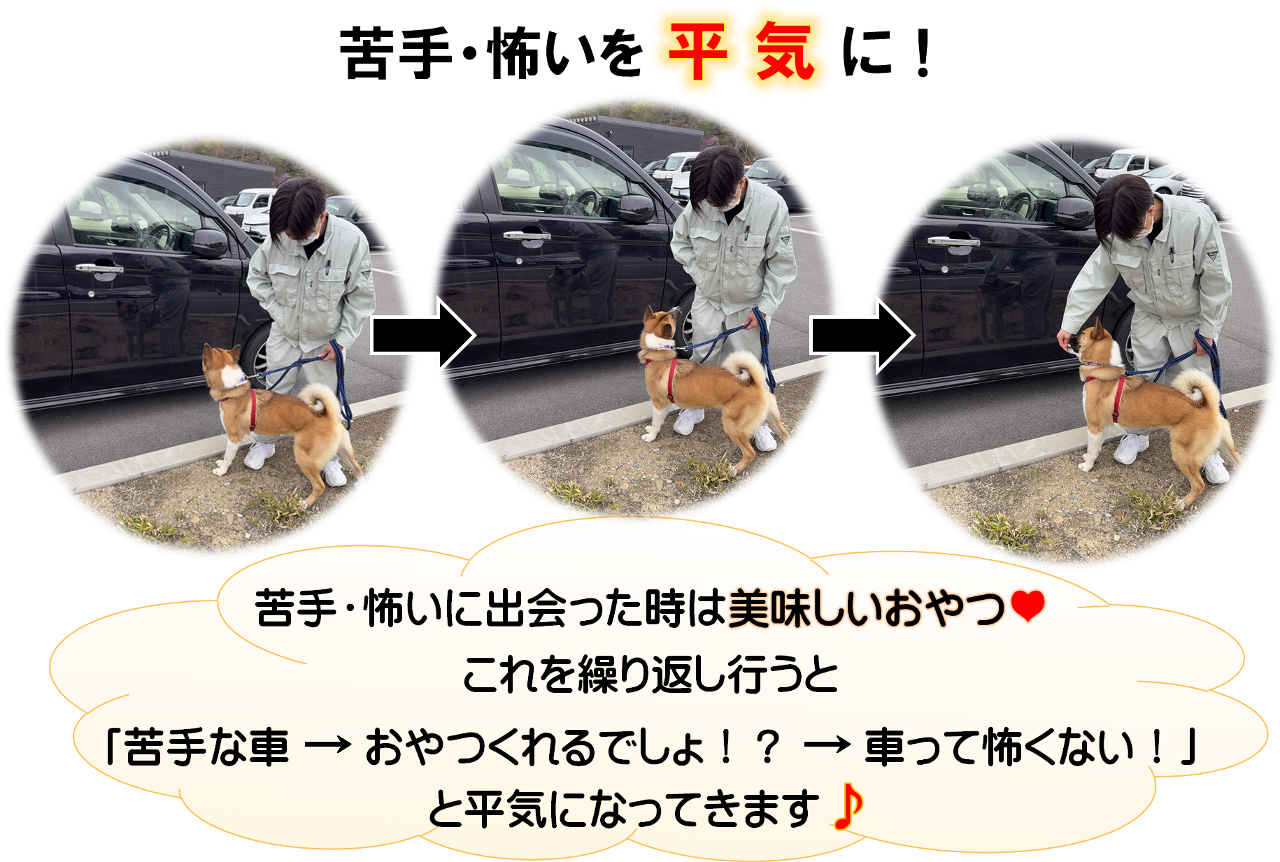 苦手・怖いを平気に1