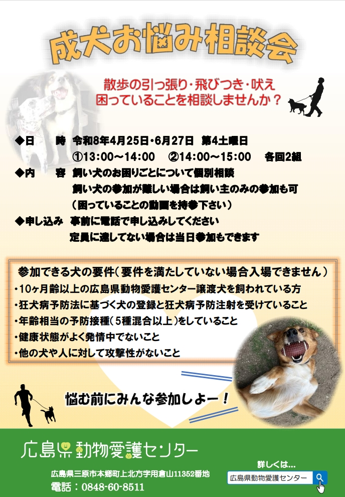 成犬お悩みのリーフレット
