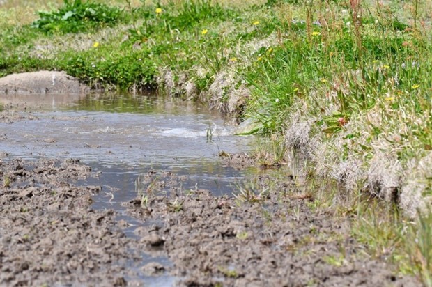 田んぼへの水入れ