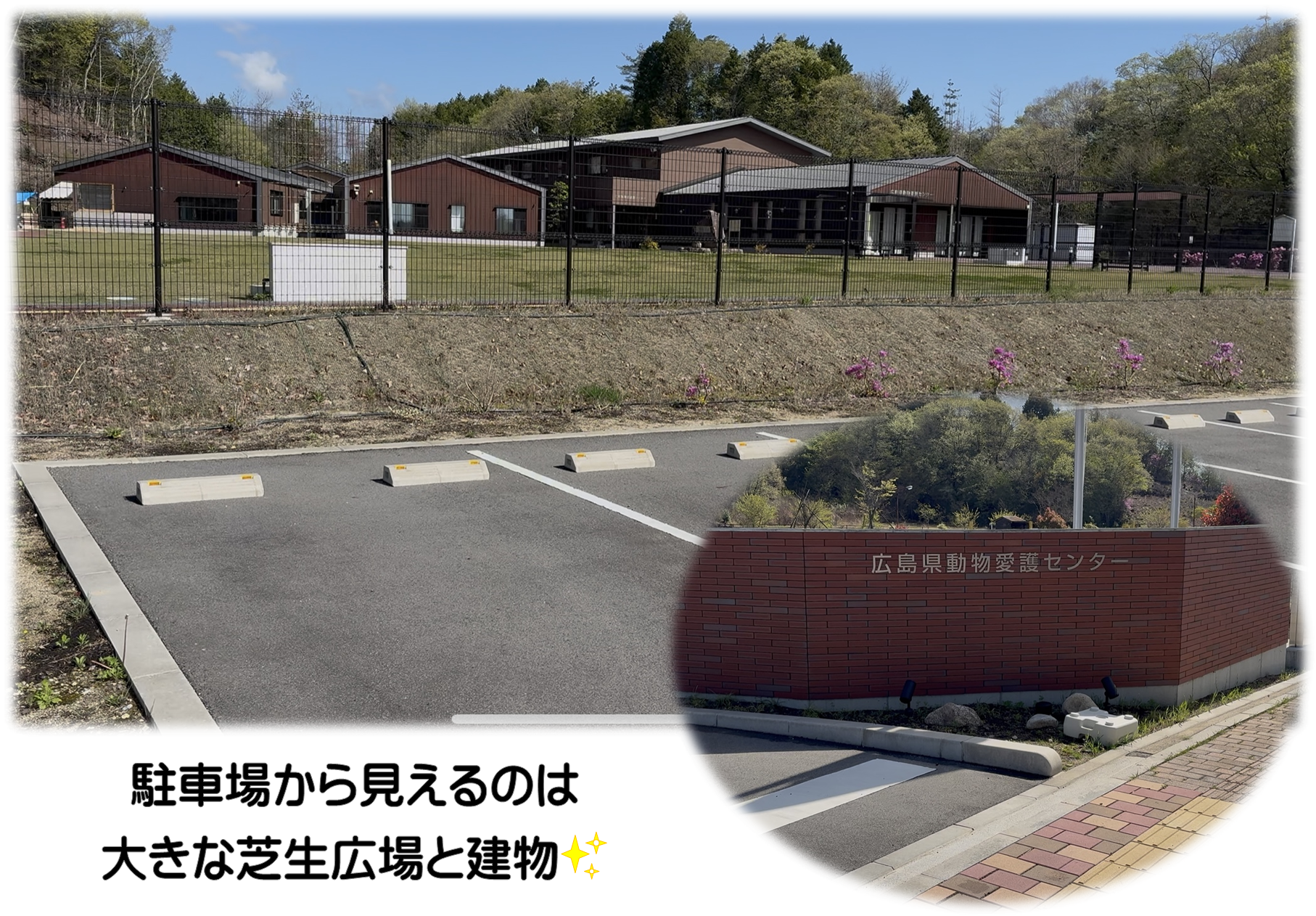 駐車場からみえるのは