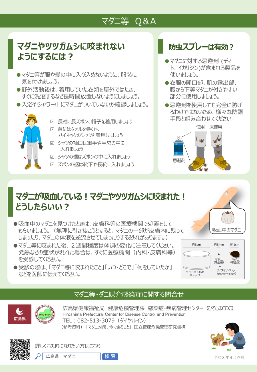 チラシ裏