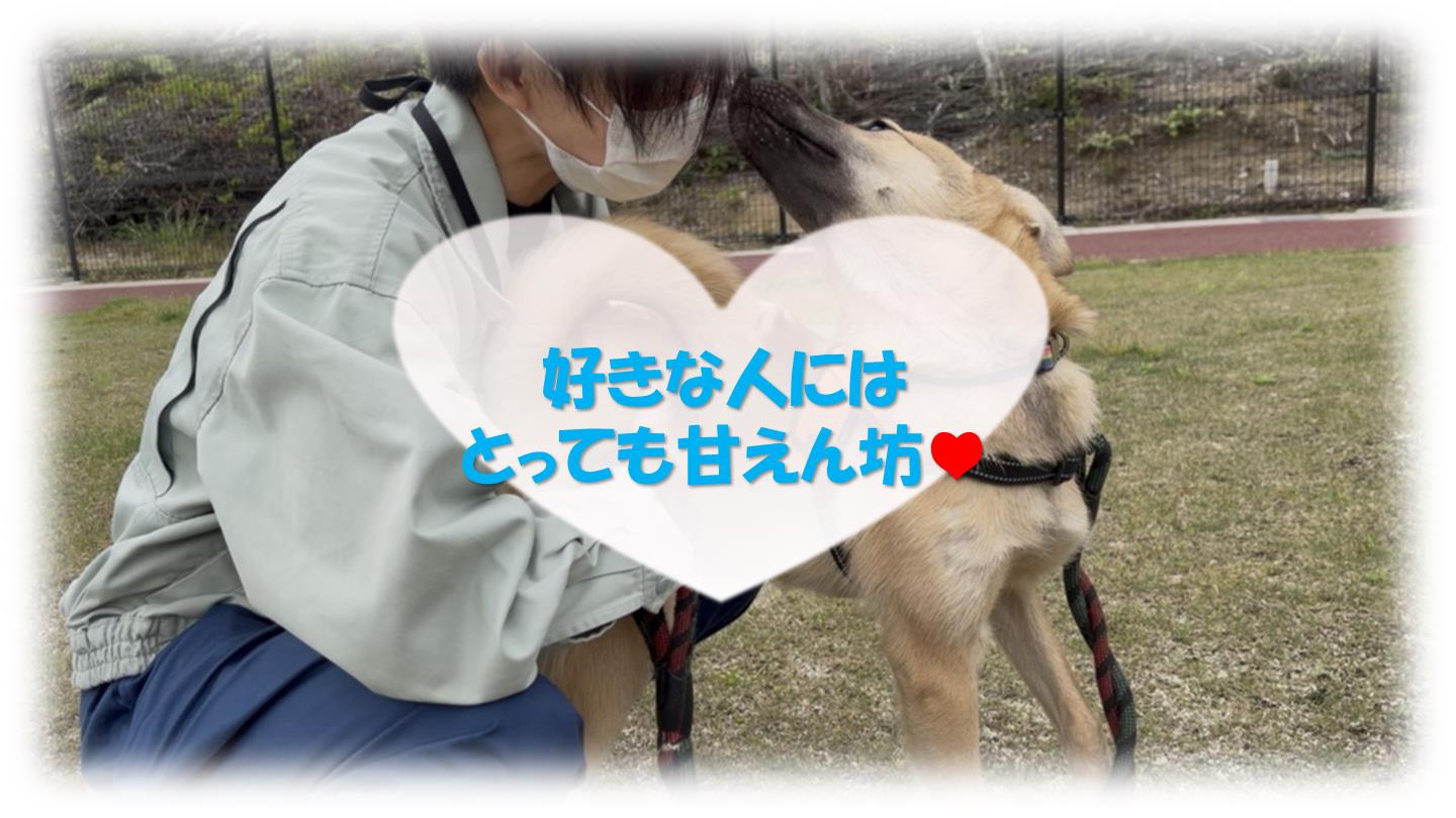 さんば３
