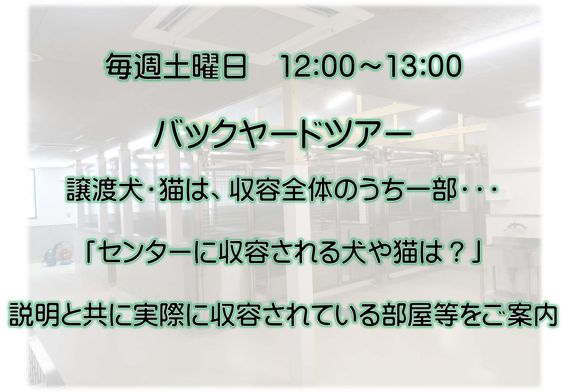 バックヤード