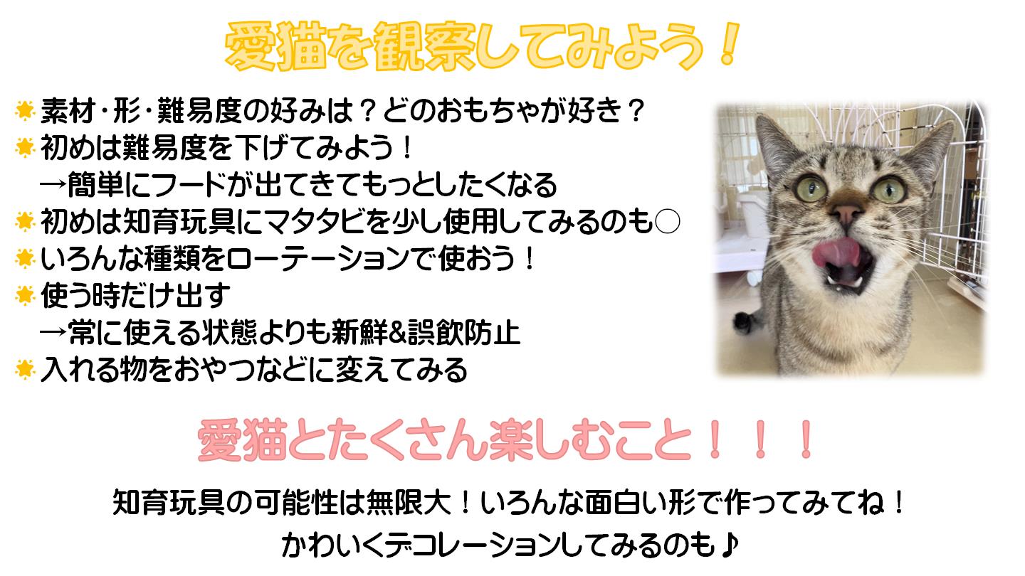 楽しむこつ