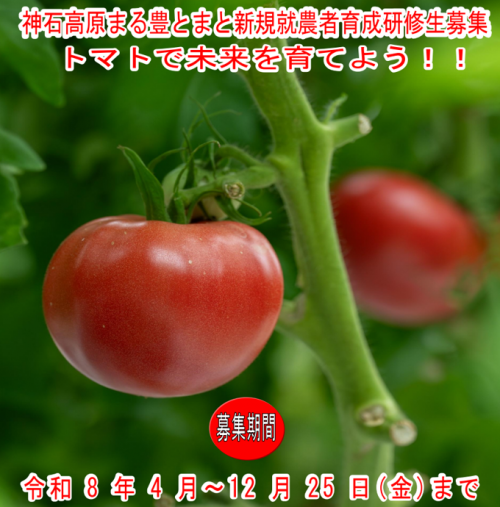研修生募集チラシ