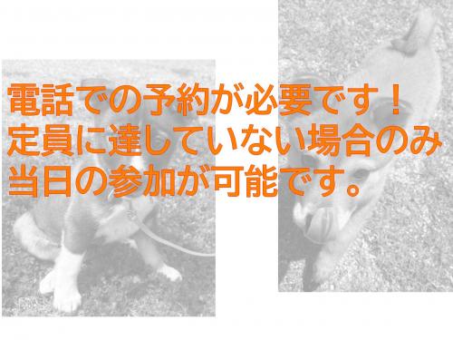 予約が必要