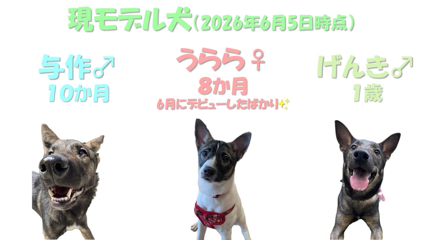 お散歩体験３