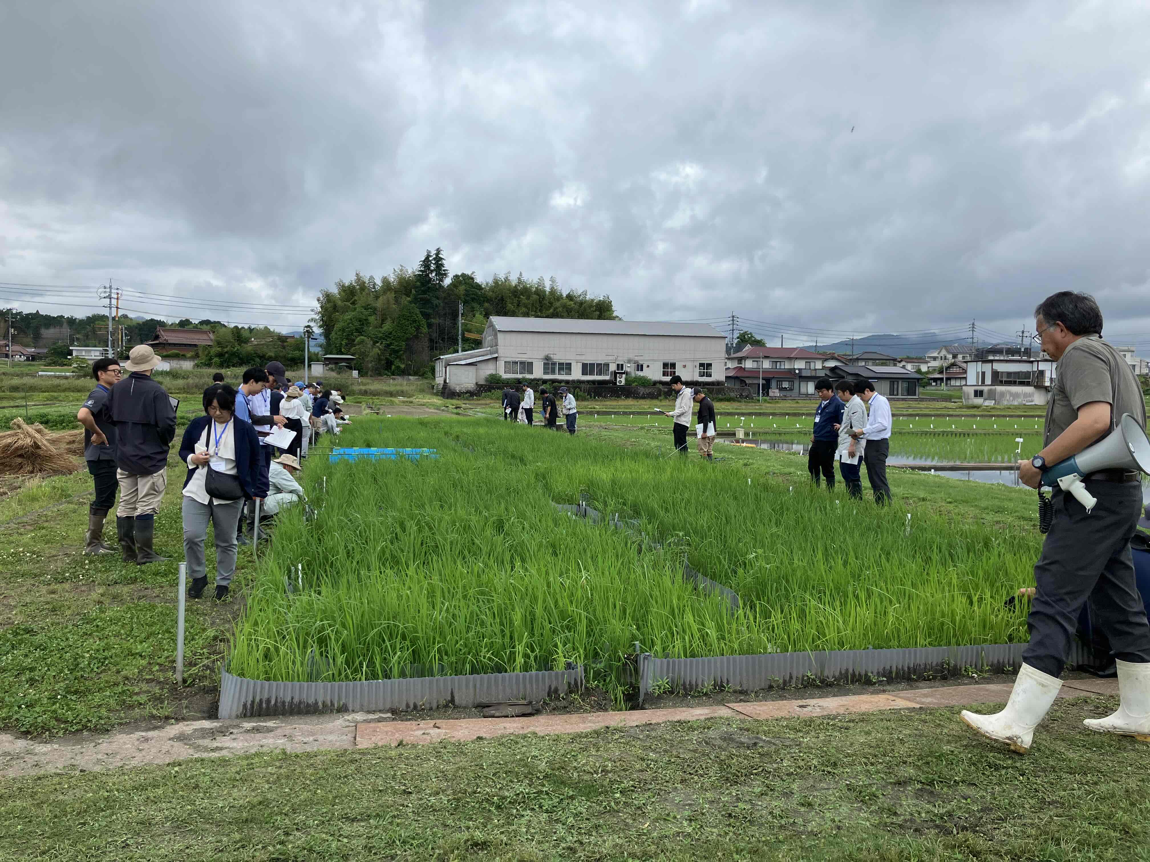 見学の様子２