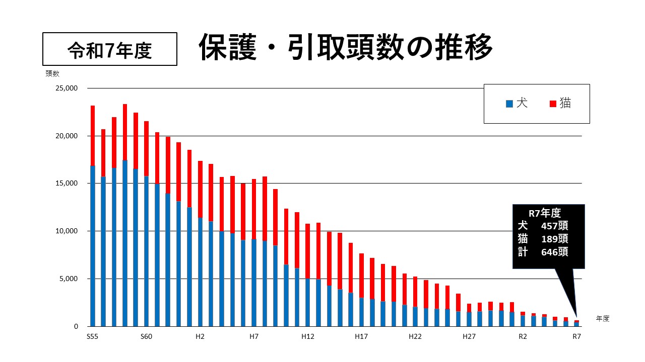 保護・引取頭数の推移１