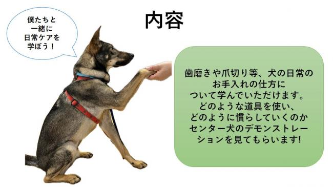 げんき