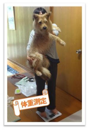 飼い主さんに抱っこされ体重測定をしているテリ