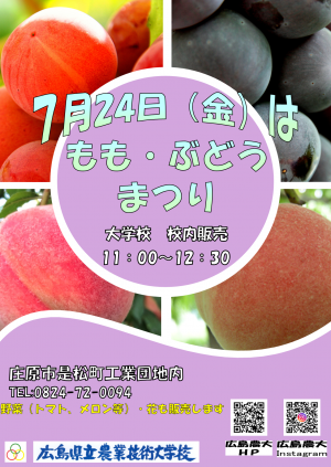 ももぶどう祭　チラシ