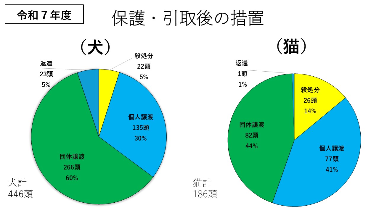 保護