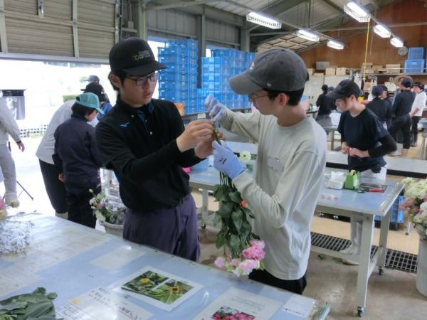 調製・ラッピング作業