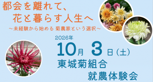 東城菊組合就農体験会