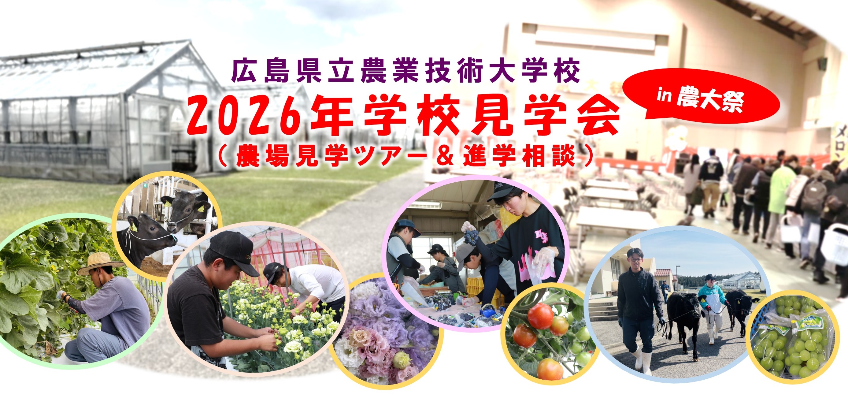 学校見学会バナー
