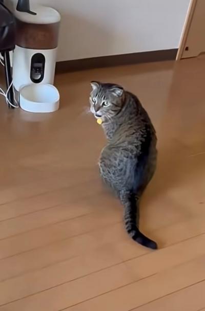 うめちゃん