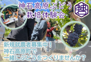 神石高原ぶどう栽培体験会