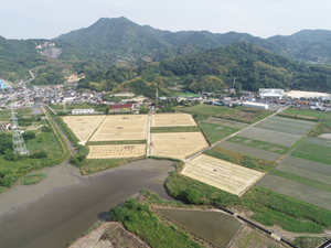 大崎東地区