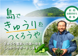 島できゅうりをつくろうや