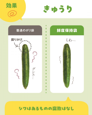 きゅうり