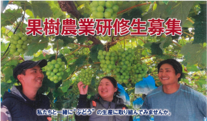 研修生募集