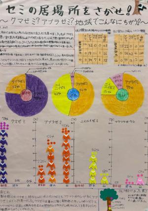 セミの居場所をさがせ！～クマゼミ？アブラゼミ？地域でこんなにちがう！～