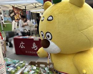 ひろくま写真(レモンをみつめる)