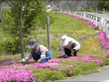 マイロードシステム活動写真