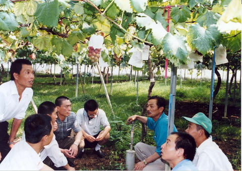 平成14年度農業研修生　現地研修の写真２