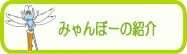 みゃんぼーの紹介