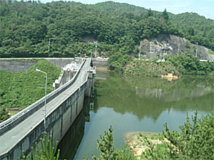 椋梨ダム上流面の画像です