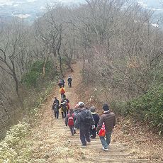 活動の様子