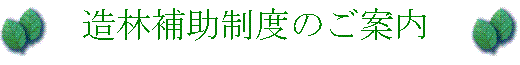 造林補助制度のご案内の画像