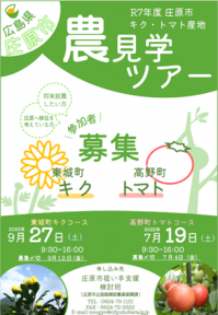 表