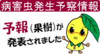 れもんちゃん