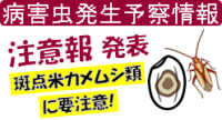 斑点米カメムシ類注意報