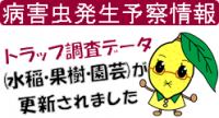 お
