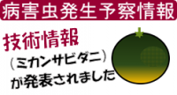 お