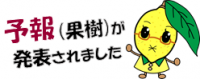 果樹